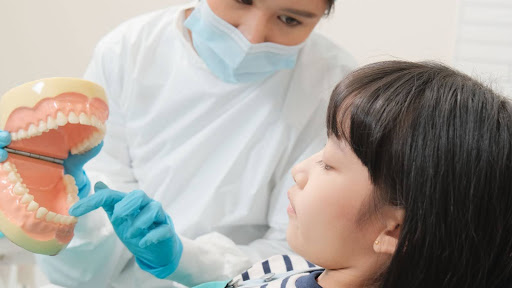 Start Young: The Importance of Early Orthodontic Evaluations